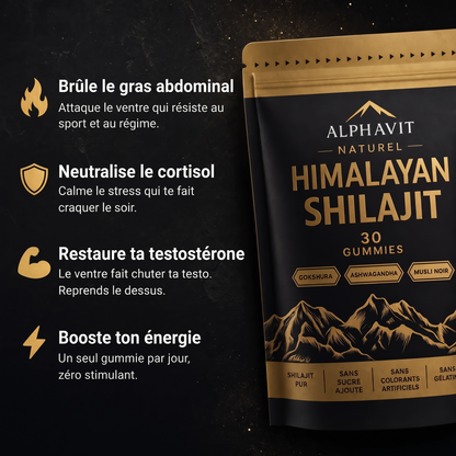 Alphavit gummies au shilajit – les bienfaits contre le gras du ventre